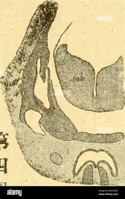 那曲小游戲代理加盟及手游代理網(wǎng)絡技術(shù)開發(fā)全解析