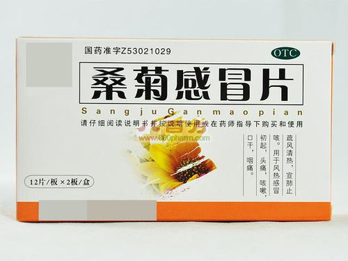 家中常備的12種風(fēng)熱感冒中成藥